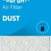 13x21x1 (Actual Size) DuPont™ Dust Air Filter (MERV 8) -Home Equipment Shop dust front lg