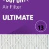 16x30x1 (15.5 X 29.5) DuPontâ„¢ Ultimate Air Filter (MERV 13) 1 16x30x1 (15.5 X 29.5) DuPontâ„¢ Ultimate Air Filter (MERV 13) -Home Equipment Shop ultimate front lg 22